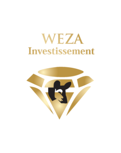 Weza Investments